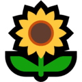 🌻 Bunga Matahari Microsoft