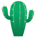 🌵 Kaktus