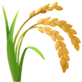 🌾 Seikat Padi Apple
