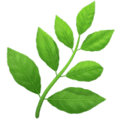 🌿 Rempah Apple