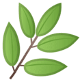 🌿 Rempah Google