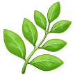 🌿 Rempah Samsung