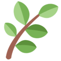 🌿 Rempah Twitter