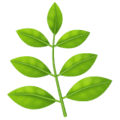 🌿 Rempah WhatsApp