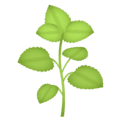 🌿 Rempah