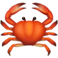 🦀 Kepiting Apple