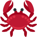 🦀 Kepiting Twitter