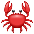 🦀 Kepiting WhatsApp