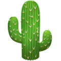 🌵 Kaktus Apple