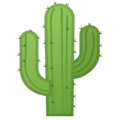 🌵 Kaktus Google