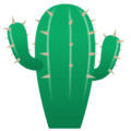 🌵 Kaktus