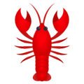 🦞 Lobster