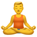 🧘‍♂️ Pria dalam Posisi Lotus Apple