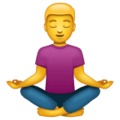 🧘‍♂️ Pria dalam Posisi Lotus WhatsApp