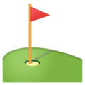 ⛳ Bendera di Lubang Google