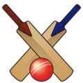 🏏 Permainan Kriket
