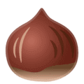🌰 Kastanye Google