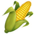 🌽 Bonggol Jagung WhatsApp