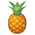🍍 Nanas Google