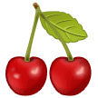 🍒 Ceri Samsung