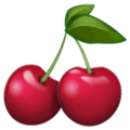 🍒 Ceri WhatsApp