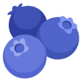 🫐 Blueberry Google