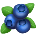 🫐 Blueberry WhatsApp