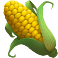 🌽 Bonggol Jagung Apple