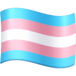 🏳️‍⚧️ Bendera Transgender Facebook