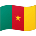 🇨🇲 Bendera Kamerun Google