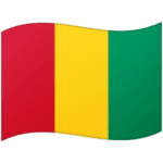 🇬🇳 Bendera Guinea Google