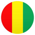 🇬🇳 Bendera Guinea JoyPixels