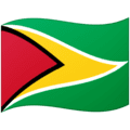 🇬🇾 Bendera Guyana Google