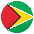 🇬🇾 Bendera Guyana