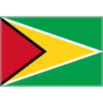 🇬🇾 Bendera Guyana Skype