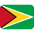🇬🇾 Bendera Guyana Twitter