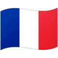 🇲🇫 Bendera Saint Martin Google