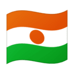 🇳🇪 Bendera Niger Google