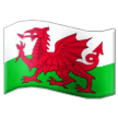 🏴󠁧󠁢󠁷󠁬󠁳󠁿 Bendera Wales Samsung