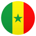 🇸🇳 Bendera Senegal