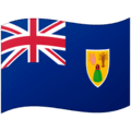 🇹🇨 Bendera Kepulauan Turks dan Caicos Google