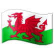 🏴󠁧󠁢󠁷󠁬󠁳󠁿 Bendera Wales Samsung