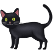 🐈‍⬛ Kucing Hitam Samsung