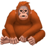 🦧 Orangutan Apple