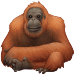 🦧 Orangutan Facebook