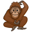 🦧 Orangutan Samsung