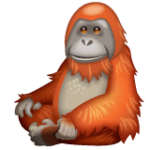 🦧 Orangutan WhatsApp