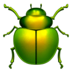 🪲 Kumbang Apple
